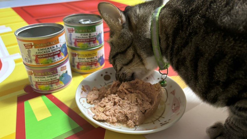 女人知己試用大隊,口碑行銷,部落客行銷,PURRFACT 波菲特貓用主食罐,主食罐,PURRFACT波菲特,貓主食罐,貓罐,PURRFACT波菲特貓用主食罐,魚肉蔓越莓主食罐,鮮嫩雞主食罐,鹿肉雞肉主食罐,牛肉鵪鶉貓主食罐,干貝蠶蛹配方,鱷魚肉白木耳配方,雞肉魚肉配方,安心鶉配方,評價,體驗,適口性佳,心得,成貓適用,高齡貓適用,質地是慕絲狀